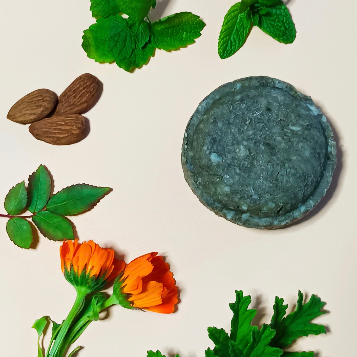 Champú sólido cabello seco